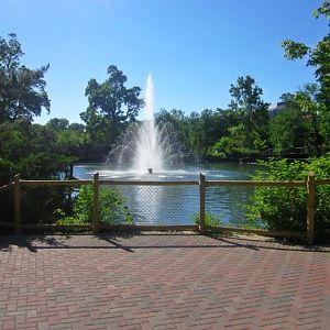 Jun. 2013 - Viewing of Swan Lake