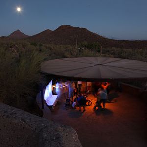 arthropod interpretation