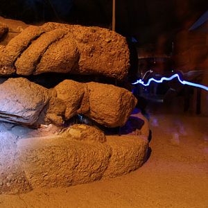 gila monster by flashlight