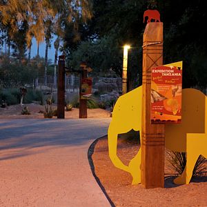 elephant exhibit at dusk