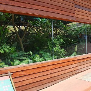 Wild Amazonia - Toco Toucan exhibit