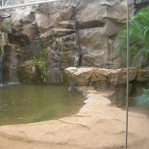 Brand New Island Giants aka Komodo Dragon exhibit
