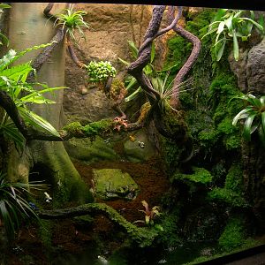 Well designed terrarium