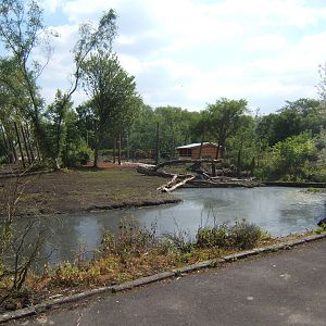 View of new exhibit being built