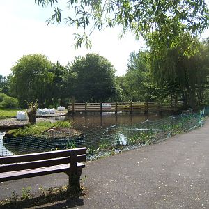 View of new exhibit being built