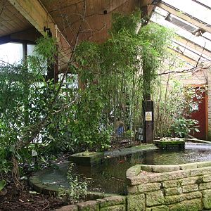 The interior of the tropical house - june 2013