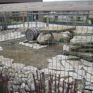 Part 2 of the Patagonian Cavy Enclosure