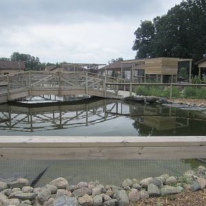Main American Alligator Enclosure