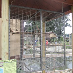 African Grey Cage