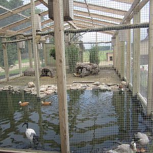 Wetlands Aviary