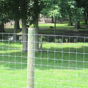 Part of the Sitatunga Paddock