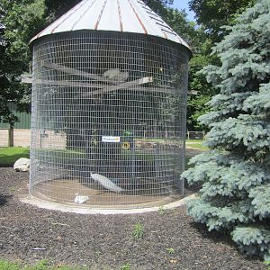 Peafowl Corn Crib Cage