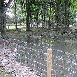 1st Part of Capybara Exhibit
