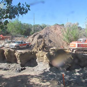 African Savanna Construction