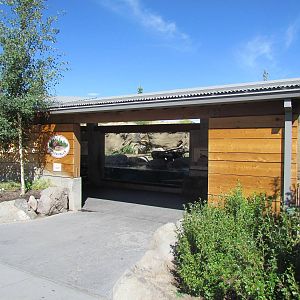 Rocky Shores - River Otter Viewing
