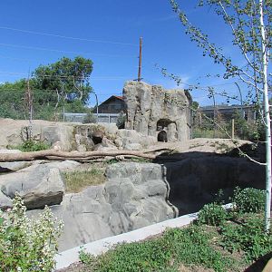 Rocky Shores - Grizzly Bear Exhibit