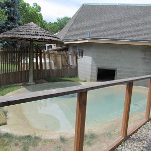 Small Animal Building - Siamese Crocodile Outdoor Exhibit