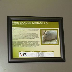 Small Animal Building - Signage Example