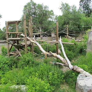 Great Ape House - Orangutan Exhibit