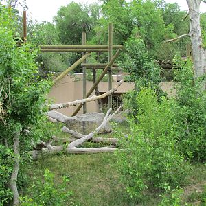 Great Ape House - Western Gorilla Exhibit