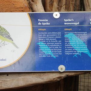 Sign of Speke's weavers