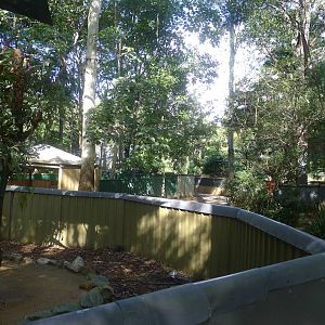 Koala and Wombat enclosures