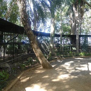 The Baboon enclosure