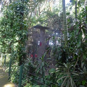 Capuchin Monky enclosure