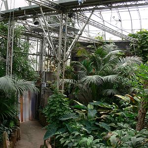 General view at Tropical World, 30/06/13