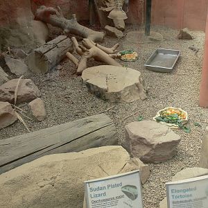 Mixed exhibit at Tropical World, 30/06/13