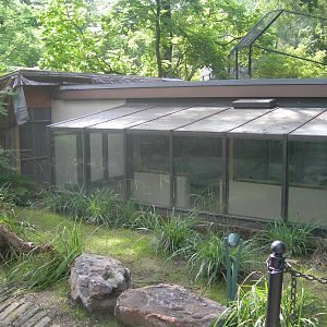 New Flamingo indoor house