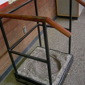 new elephant interactive prop