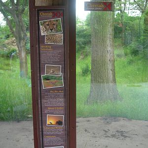 Cheetah Signage