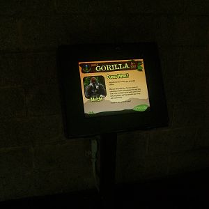 New Gorilla interactive touch screen sign