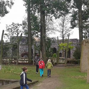 Asian  elephant enclosure