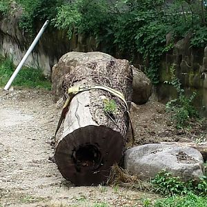 Jul. 2013 - Rhino Reserve - Black Rhinoceros Construction