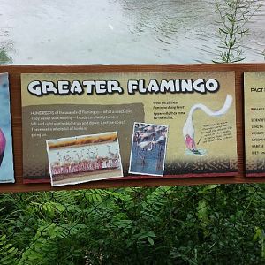 Jul. 2013 - Africa - Giraffe Ridge - Greater Flamingo Sign