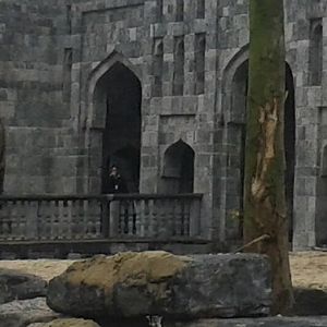 Part indoor-enclosures Asain elephants