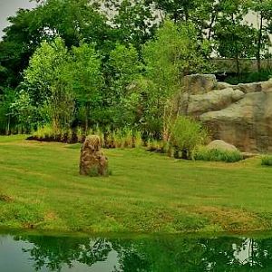 Jul. 2013 - African Plains + African Lion Exhibits