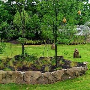 Jul. 2013 - African Plains + African Lion Exhibits