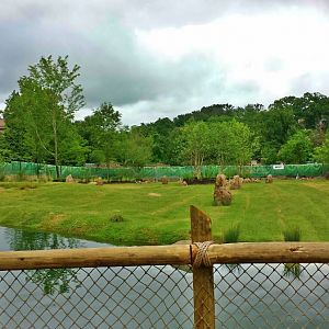 Jul. 2013 - Africa - African Plains