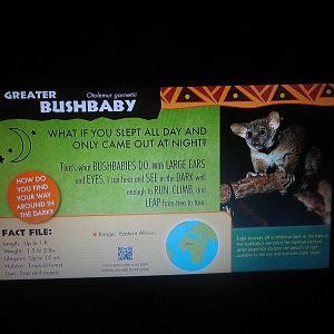 Jul. 2013 - Jungle Trails - New Bushbaby Sign