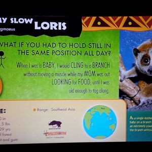 Jul. 2013 - Jungle Trails - New Loris Sign