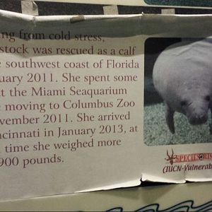 Jul. 2013 - Manatee Springs - Woodstock Bio