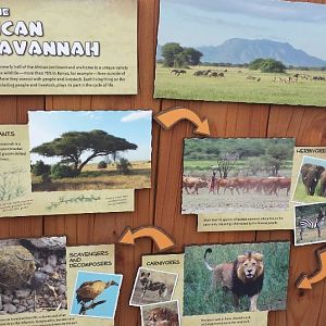 Jul. 2013 - Africa - Life On the African Savannah Sign
