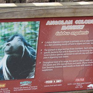 Angolan Colobus Monkey Sign