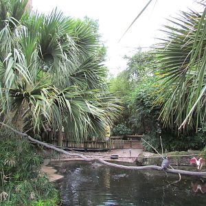 Emerald Forest Aviary
