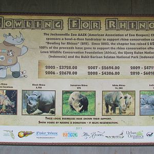Bowling for Rhinos