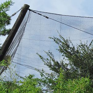 Corner post of River Valley Aviary