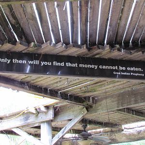 Cree Indian Prophecy